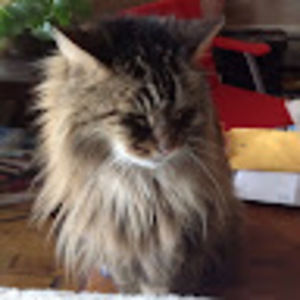 Meet your Posher, Clara